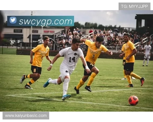 Kaiyun开云国际版全新上线，带你体验全球顶级体育赛事直播与互动娱乐