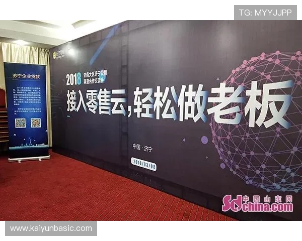 探索开云体育网页版入口问题的根源及其对用户的影响