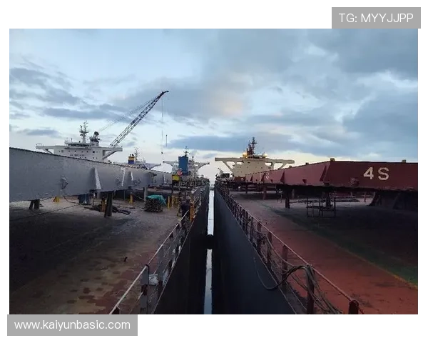 开云彩票登录入口最新官方平台安全稳定，便捷快速登录体验全方位保障